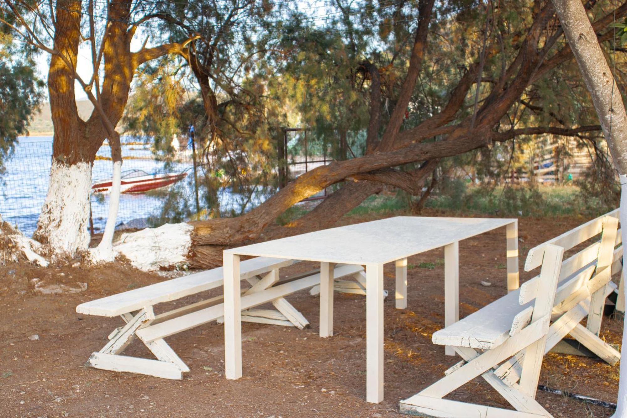 Campingplatz Lemon Tree Dome House *